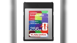 SANDISK 256GB CFexpress Type B Card Review – FIFA 2026 Edition